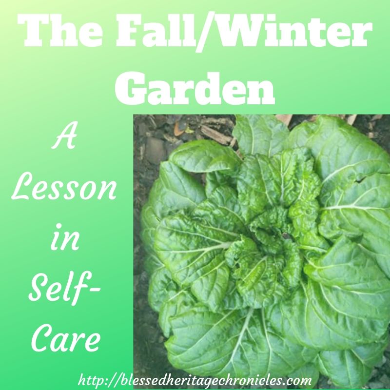 The Fall Winter Garden A Lesson In Self Care THE BLESSED HERITAGE
